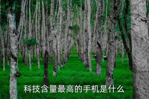 科技含量最高的手機(jī)是什么