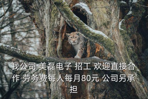 我公司 美磊電子 招工 歡迎直接合作 勞務費每人每月80元 公司另承擔