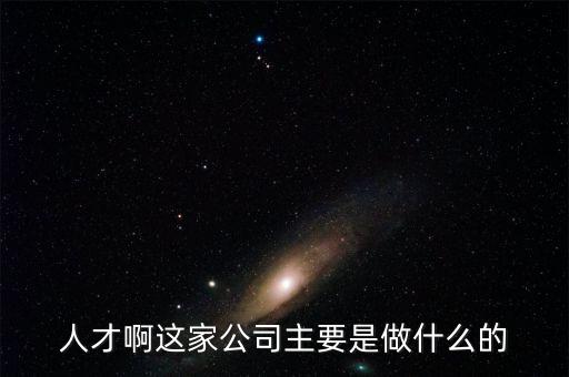 人才啊這家公司主要是做什么的