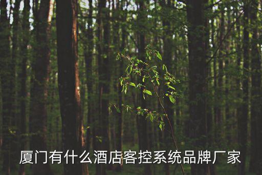 廈門(mén)智能科技產(chǎn)品有哪些，廈門(mén)中博諾基亞的智能手機(jī)有哪些啊