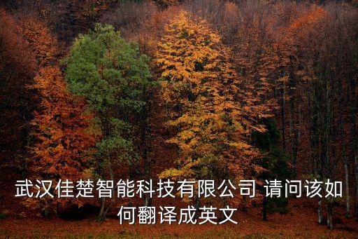 武漢佳楚智能科技有限公司 請問該如何翻譯成英文
