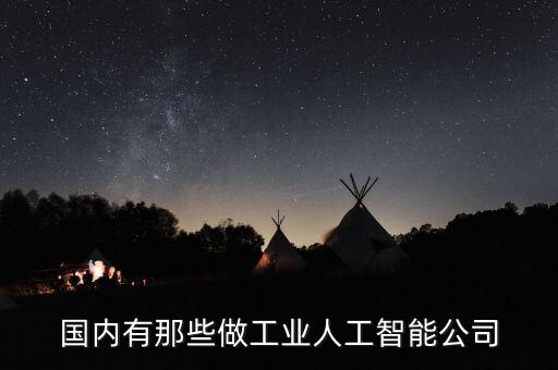 國內(nèi)有那些做工業(yè)人工智能公司