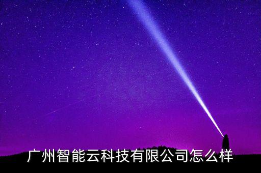 廣州智能云科技有限公司怎么樣