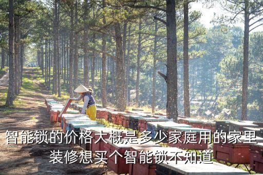 智能鎖的價格大概是多少家庭用的家里裝修想買個智能鎖不知道
