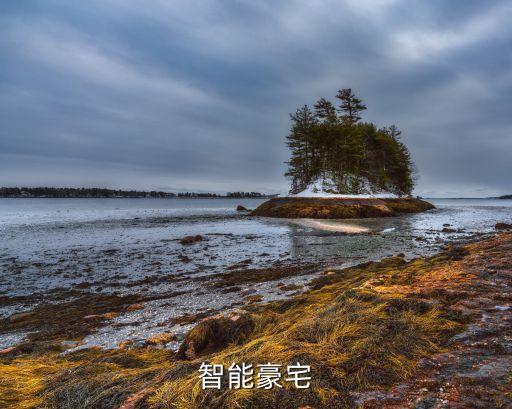 科技智能豪宅圖紙怎么用，智能豪宅