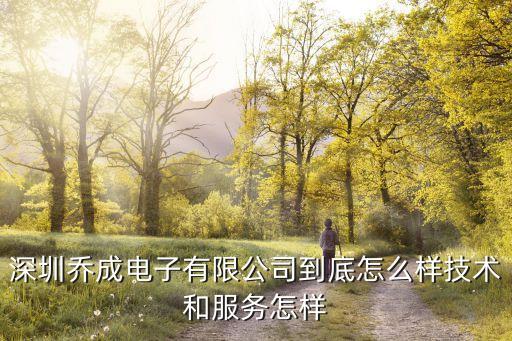 深圳喬成電子有限公司到底怎么樣技術(shù)和服務(wù)怎樣