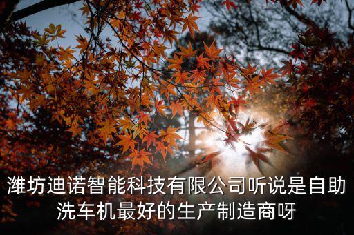 濰坊迪諾智能科技有限公司聽(tīng)說(shuō)是自助洗車機(jī)最好的生產(chǎn)制造商呀