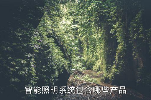 智能照明系統(tǒng)包含哪些產(chǎn)品