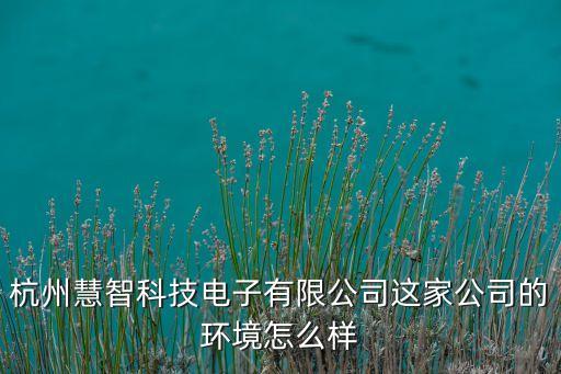 杭州慧智科技電子有限公司這家公司的環(huán)境怎么樣