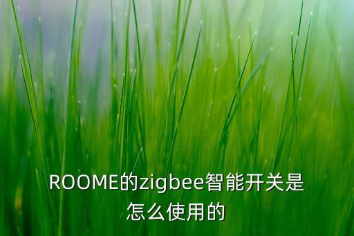 ROOME的zigbee智能開關(guān)是怎么使用的