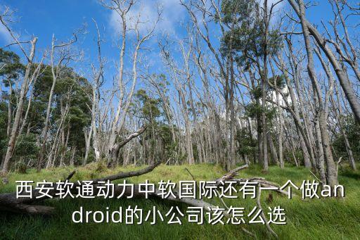 陜西軟通智能科技做什么的，西安藍(lán)通軟件技術(shù)有限公司怎樣