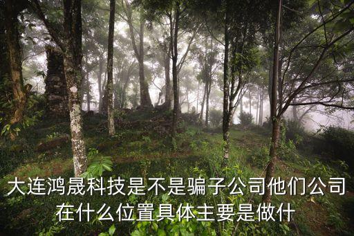 鴻晟智能科技是什么，大連鴻晟科技是不是騙子公司他們公司在什么位置具體主要是做什