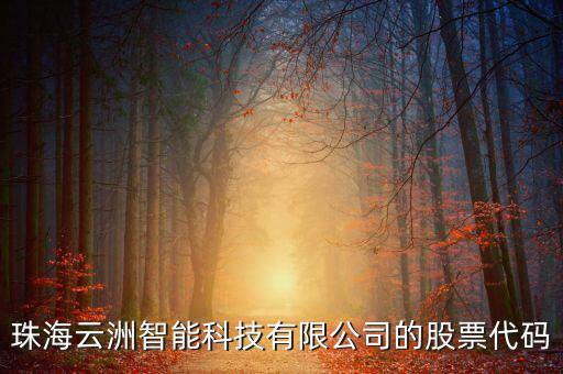 云洲智能科技怎么樣，珠海云洲智能科技有限公司的股票代碼