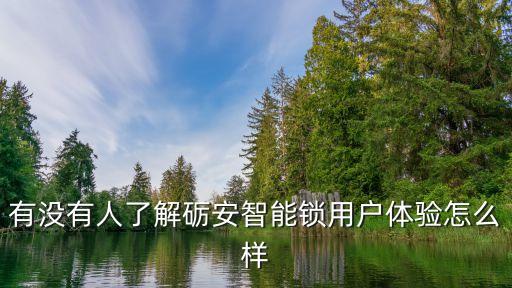 上海礪安智能科技怎么樣，礪安智能鎖怎么樣加盟政策好嗎前景如何