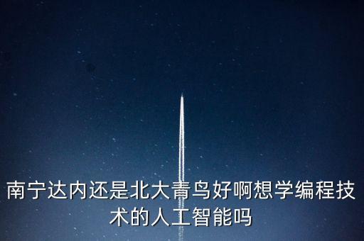 南寧達內(nèi)還是北大青鳥好啊想學(xué)編程技術(shù)的人工智能嗎