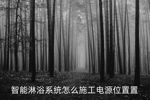智能淋浴系統(tǒng)怎么施工電源位置置