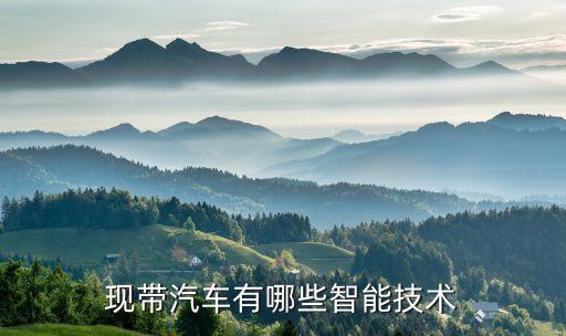 吉安縣有什么智能科技，各位親我要注冊智能科技有限公司名字有芯圓塞福宏興 吉安