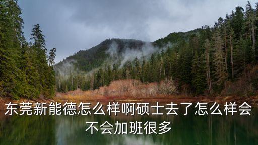 東莞新能德怎么樣啊碩士去了怎么樣會(huì)不會(huì)加班很多