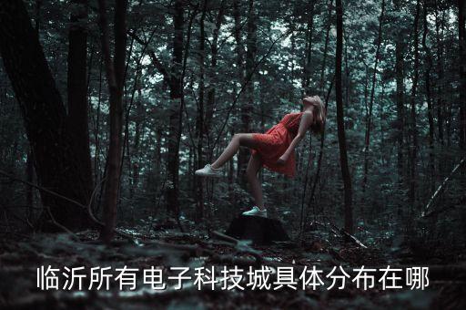 臨沂所有電子科技城具體分布在哪