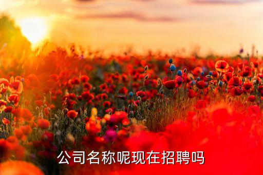 公司名稱呢現(xiàn)在招聘嗎