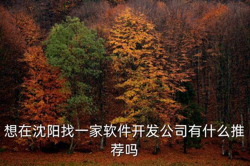 想在沈陽找一家軟件開發(fā)公司有什么推薦嗎