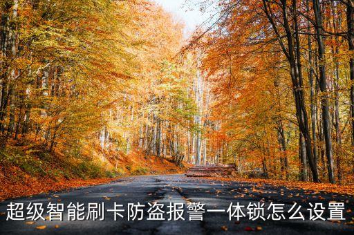 超級智能刷卡防盜報警一體鎖怎么設(shè)置