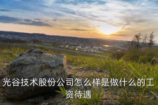 光谷技術(shù)股份公司怎么樣是做什么的工資待遇