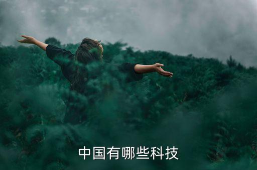 中國智能科技有什么，除了人工智能和無人駕駛技術(shù)中新智擎還有什么技術(shù)