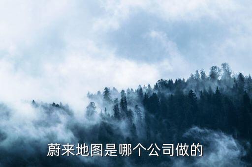 蔚來的智能科技公司叫什么，蔚來地圖是哪個公司做的
