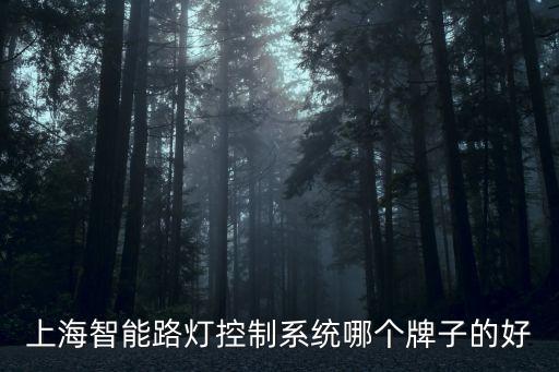 上海智能路燈控制系統(tǒng)哪個(gè)牌子的好