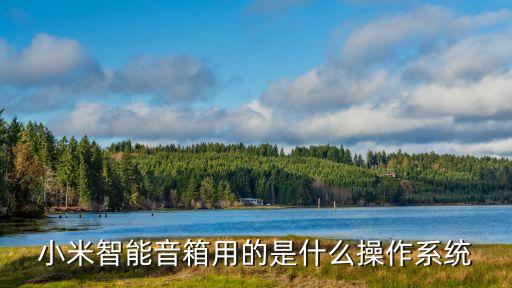 小米智能音箱用的是什么操作系統(tǒng)