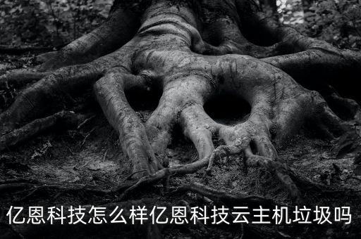 億恩科技怎么樣億恩科技云主機(jī)垃圾嗎