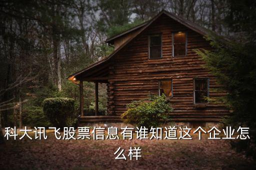 科大訊飛股票信息有誰(shuí)知道這個(gè)企業(yè)怎么樣