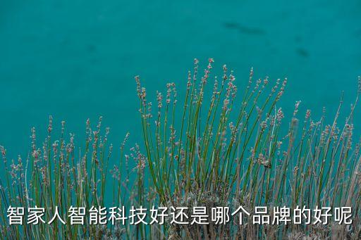 智家人智能科技好還是哪個品牌的好呢