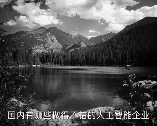 中國有哪些人工智能科技，國內(nèi)有那些做工業(yè)人工智能公司