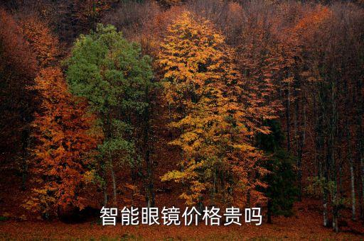 黑科技智能眼鏡多少錢一臺，想買一款綁帶式智能后視鏡智導路鏡K5看起來很不錯價格是多少