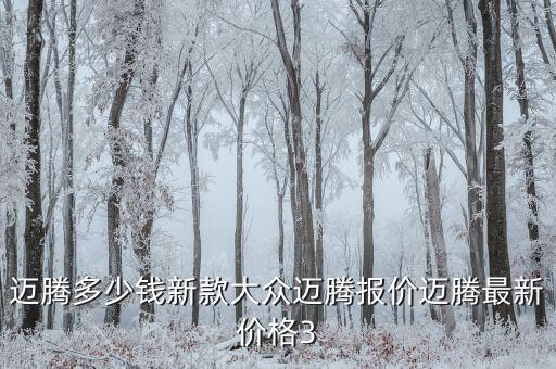 邁騰多少錢新款大眾邁騰報(bào)價(jià)邁騰最新價(jià)格3