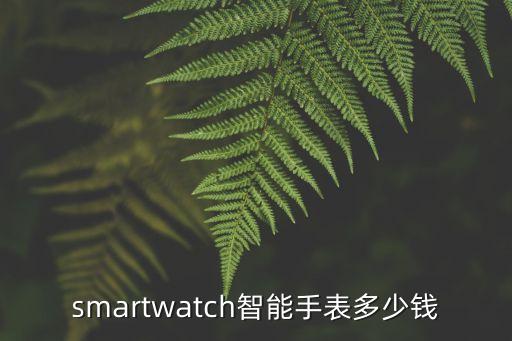 smartwatch智能手表多少錢