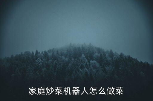 家庭炒菜機器人怎么做菜