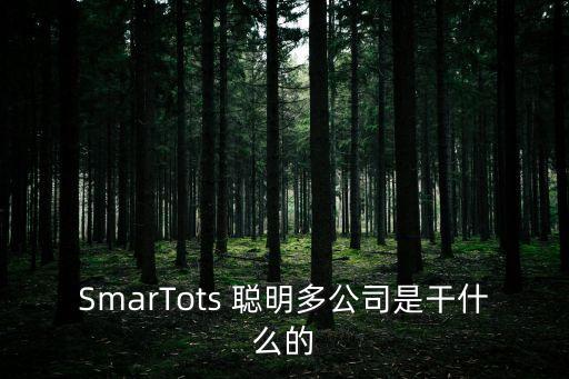 SmarTots 聰明多公司是干什么的