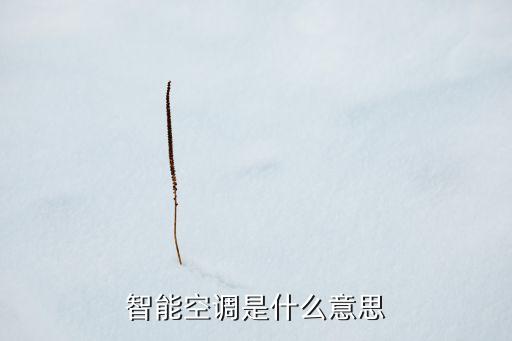 智能空調(diào)是什么意思