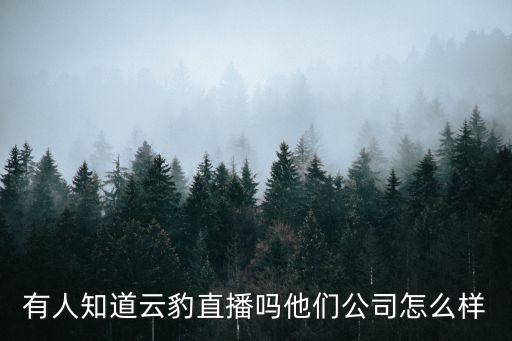 有人知道云豹直播嗎他們公司怎么樣