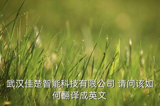 武漢佳楚智能科技有限公司 請問該如何翻譯成英文
