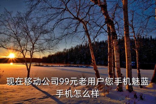 寧夏青萌智能科技怎么樣，現(xiàn)在移動(dòng)公司99元老用戶您手機(jī)魅藍(lán)手機(jī)怎么樣