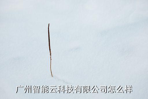 廣州智能云科技有限公司怎么樣