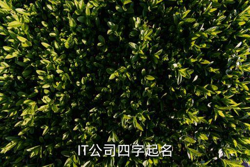 智能科技的四字名字有哪些，智能科技公司起什么名字