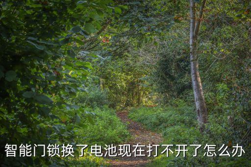智能門鎖換了電池現(xiàn)在打不開了怎么辦