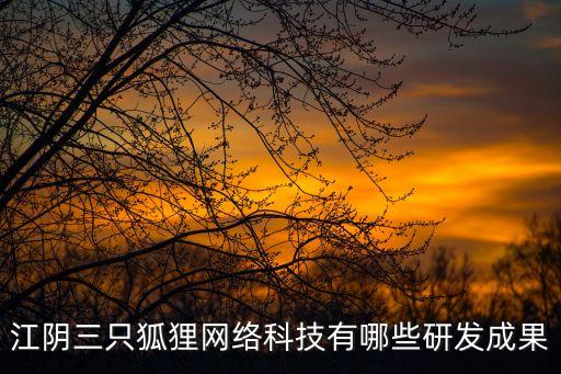 江陰三只狐貍網(wǎng)絡(luò)科技有哪些研發(fā)成果