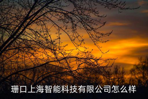 珊口上海智能科技有限公司怎么樣