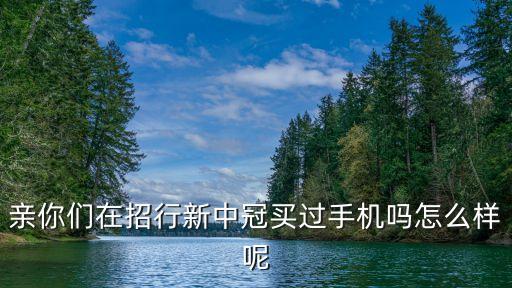 親你們在招行新中冠買過手機嗎怎么樣呢
